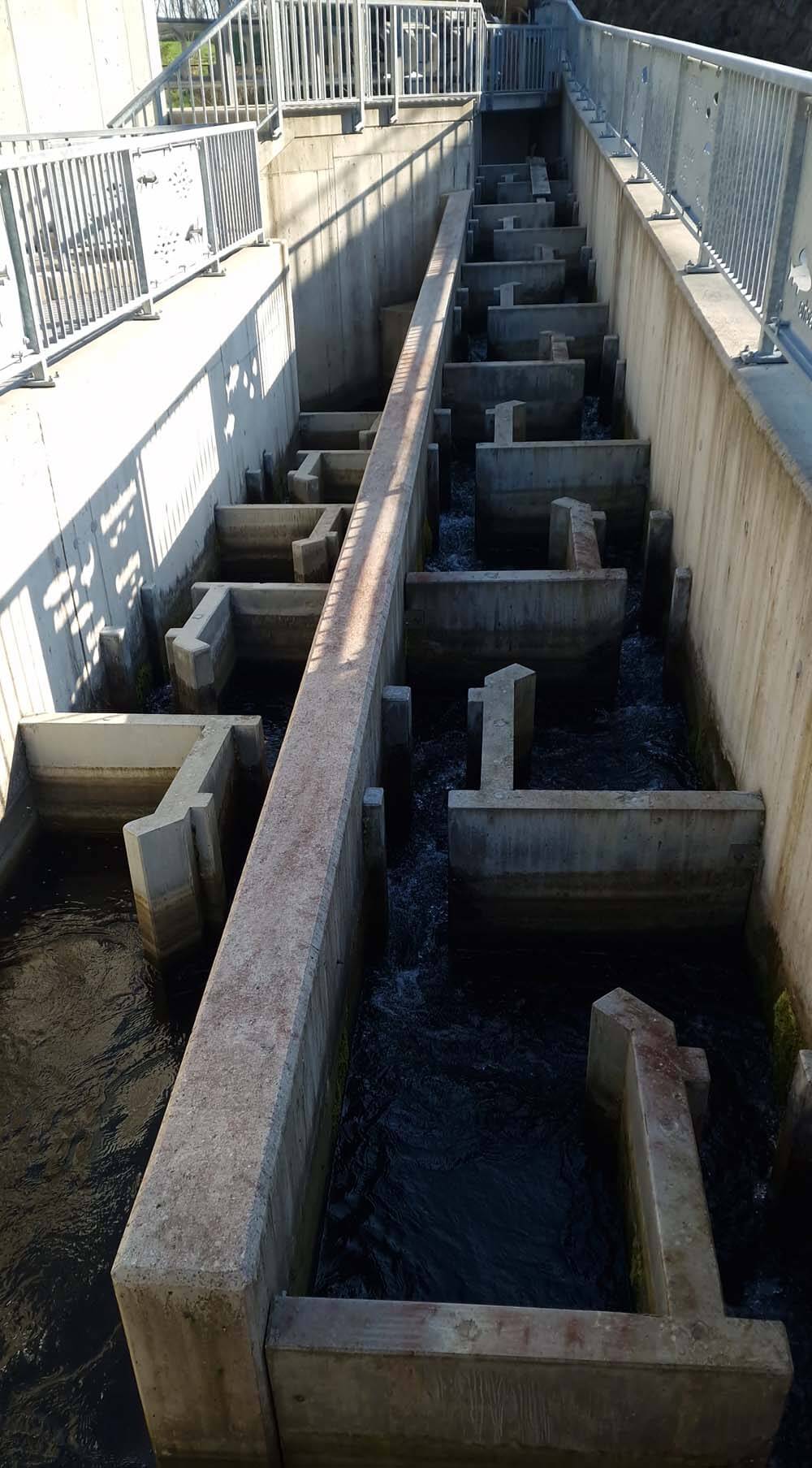 Fischtreppe, Wasserkraftwerk Eugendorf, zweibaum