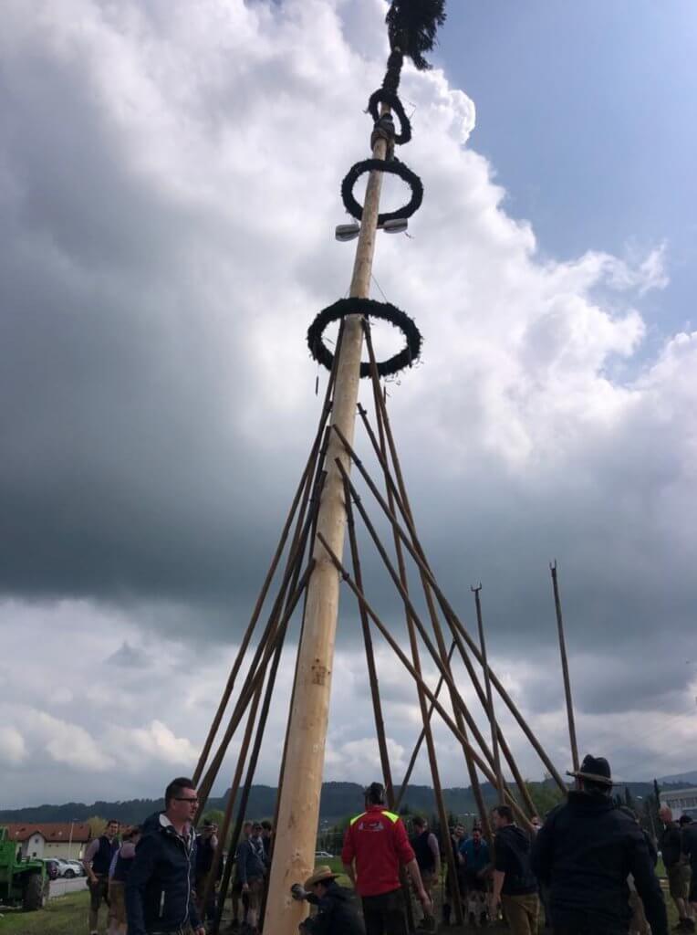 Maibaumaufstellen, Maibaum 2022, (c) Landjugend Eugendorf