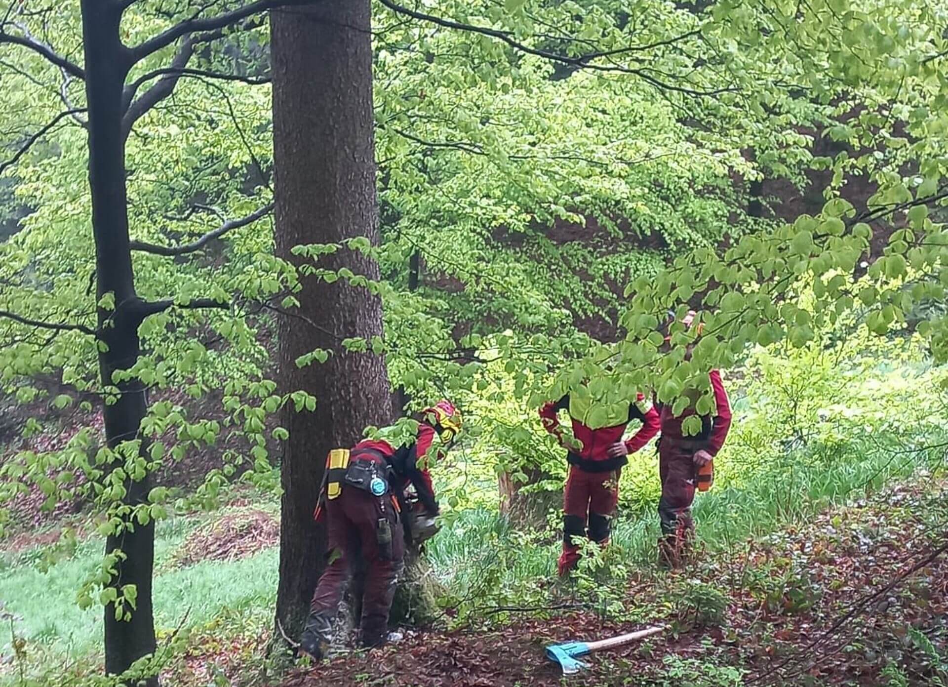 Maibaumaufstellen, Maibaum 2022, (c) Landjugend Eugendorf