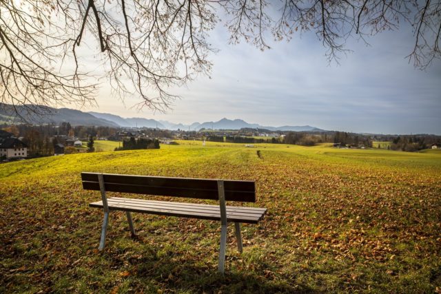 Parkbank in der Natur mit Aussicht auf Eugendorf