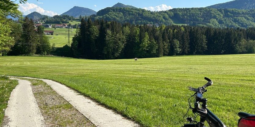 abgestelltes Rad in der Natur